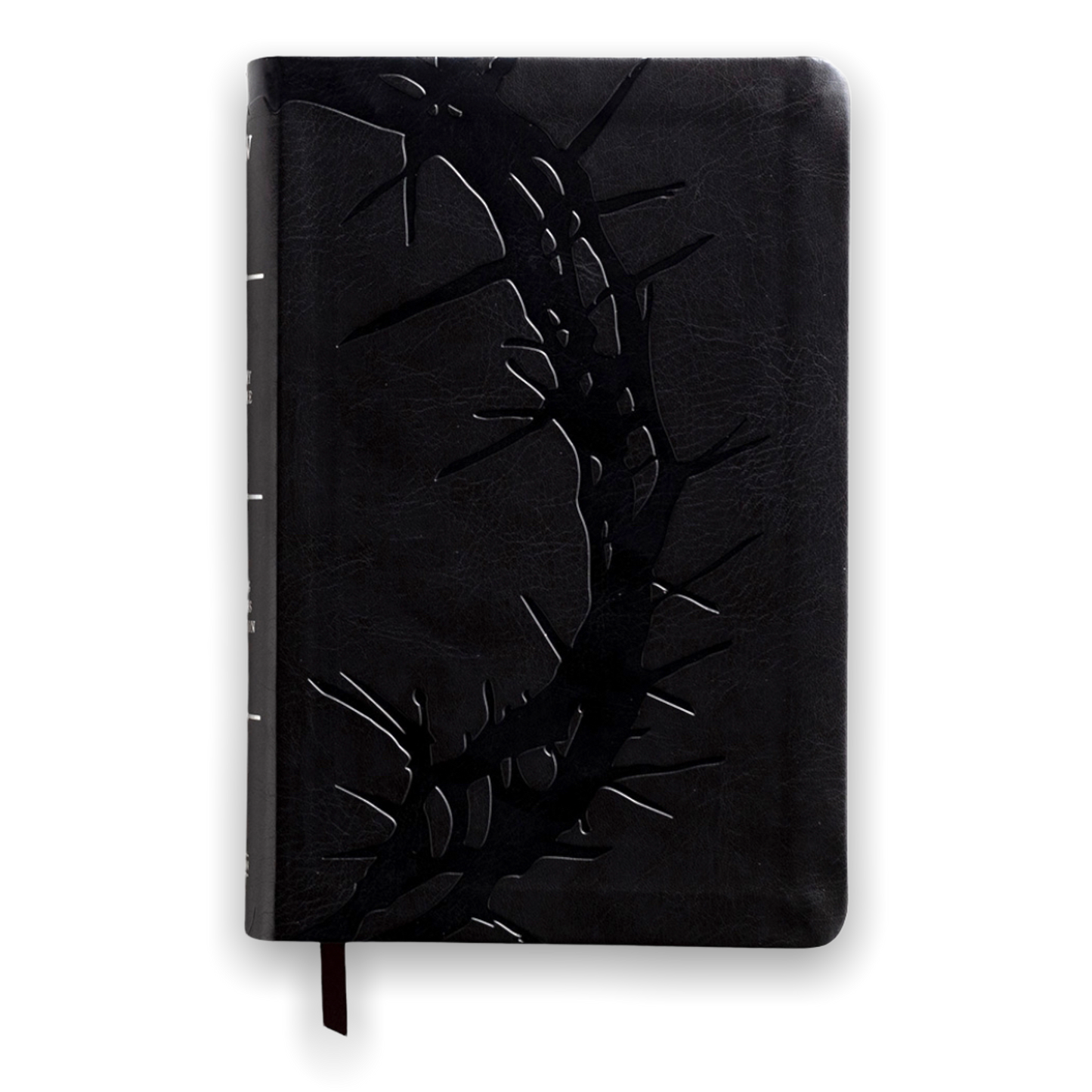 BIBLIA KJV - LETRA GRANDE 