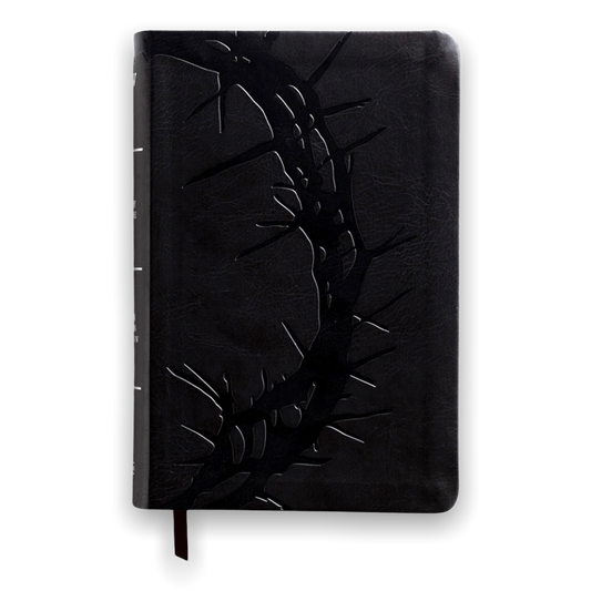 BIBLIA KJV - LETRA GRANDE 