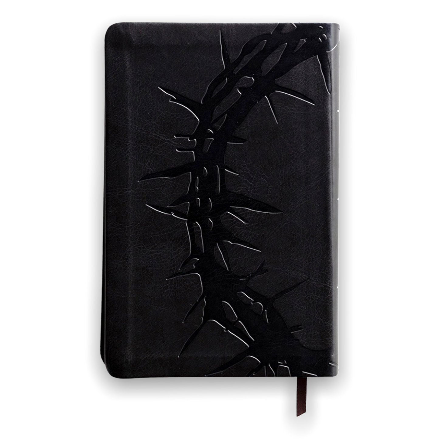 BIBLIA KJV - LETRA GRANDE 