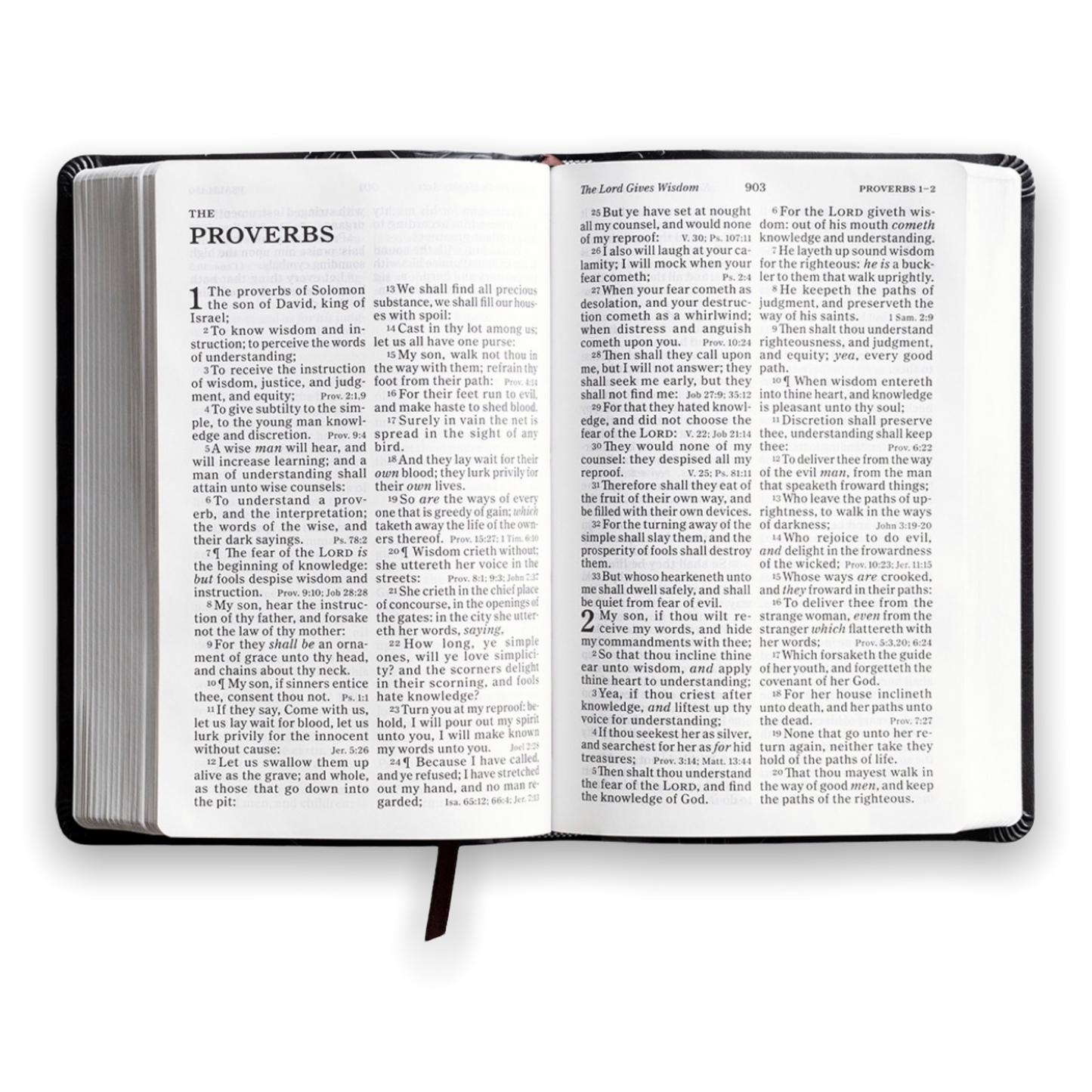BIBLIA KJV - LETRA GRANDE 